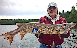Trophy Northern Pike Fishing at Fireside Lodge in Canada by Tony Cnambers